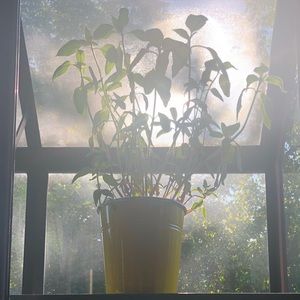 Meet your Posher, Thrift